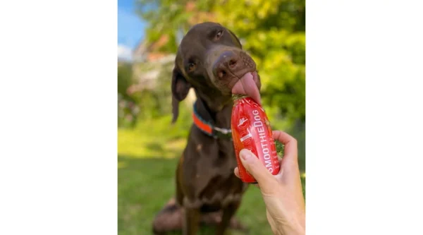 SmoothieDog - Marhahús smoothie menü kutyáknak 250 ml - Image 4