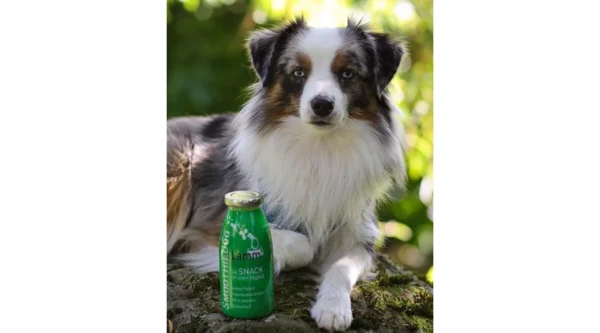 SmoothieDog - Bárányhús smoothie menü kutyáknak 250ml - Image 4