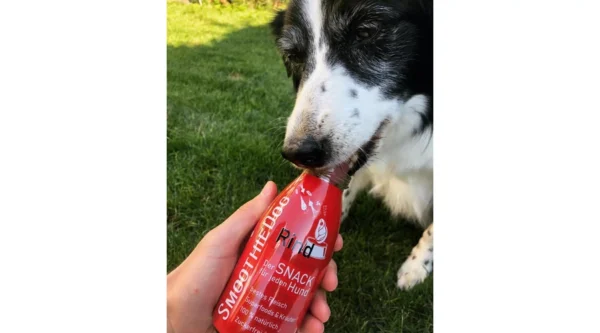 SmoothieDog - Marhahús smoothie menü kutyáknak 250 ml - Image 5