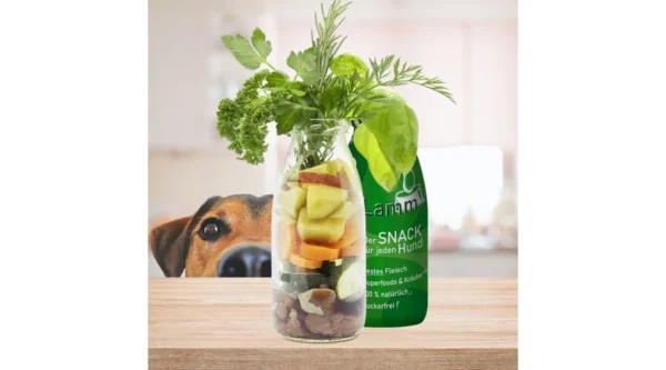SmoothieDog - Bárányhús smoothie menü kutyáknak 250ml - Image 3